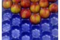 PSE  Pfirsiche - Nektarinen