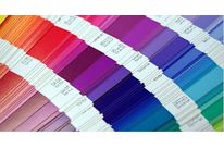 Original MORLOCK Farben: Basisfarben