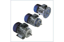 Asynchroner, dreiphasiger Elektromotor mit Inverter