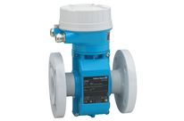 Proline Promag P 100 Magnetisch-induktives Durchflussmessgerät