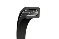  Stangendichtungen : Turcon® Variseal® M2S