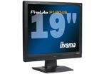 ProLite P1904S-1 LCD Bildschirm