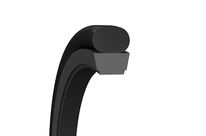  Stangendichtungen : Turcon® Glyd Ring® T