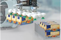 Vakuum-Endeffektoren VEE