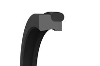 Abstreifer Turcon® Excluder® 2