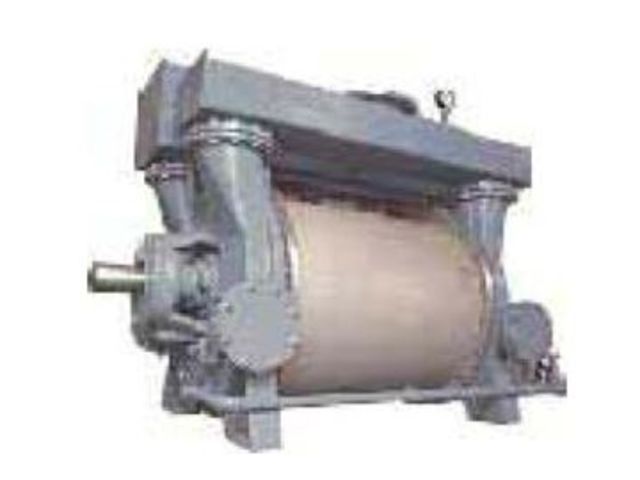 LR1A19000 Flüssigkeitsringpumpe