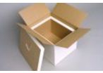 Verpackung mit Isothermal-Kühlung