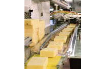 Käse und Molkereiprodukte