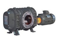 Boosterpumpen der Baureihe Stokes 6