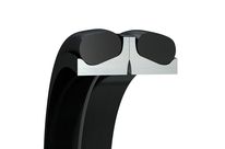 RADIALWELLENDICHTRINGE