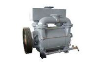 LR1A1600 Flüssigkeitsringpumpe