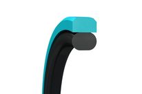 Kolbendichtungen Turcon Glyd Ring