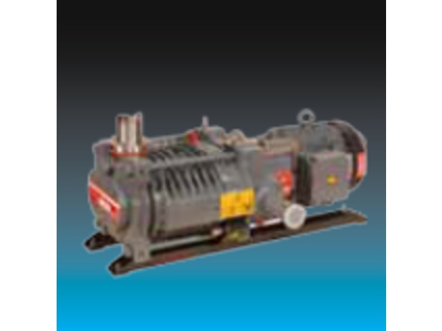 Trockenpumpe für den industriellen Einsatz : Drystar 80/EH500 PFPE SSP und Schalldämpfer, 200 V, 60 Hz