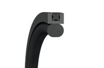 Kolbendichtungen Turcon AQ-Seal