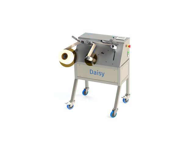 Daisy