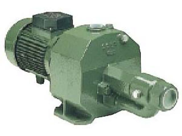 Hows-und Cartenpumpe M150-200 Selbstansaugende Elektropumpe 