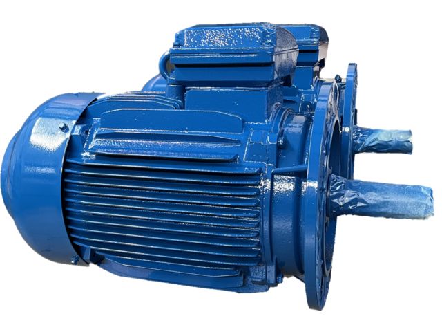 Asynchronmotoren mit Aluminiumkäfig IP55