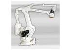 Roboter : MPL500