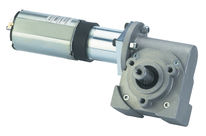 Getriebemotor rundlaufed mit endloser Schraube: MVR 737/30/26