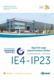 Asynchrone Elektromotoren - offen belüftet IP23 - Niederspannung - IE4