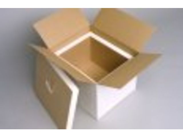 Kühlverpackung 98 Liter