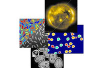 Image Processing Toolbox 6.3