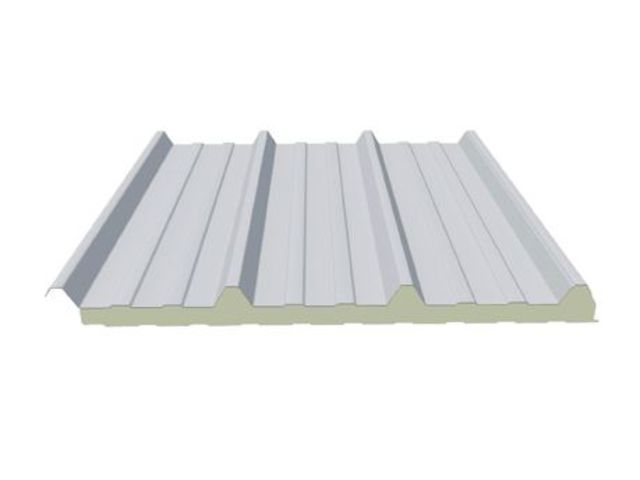Polar-Dachsystem