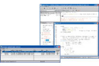 PolySpace Client for Ada 5.3