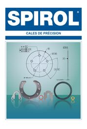 Katalog Präzisions- Metallscheiben / Shims