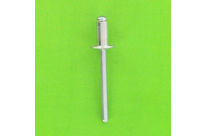 Nieten : Breiter Kopf - Edelstahl/Edelstahl