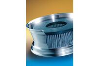 Tellerbuersten (TEB)