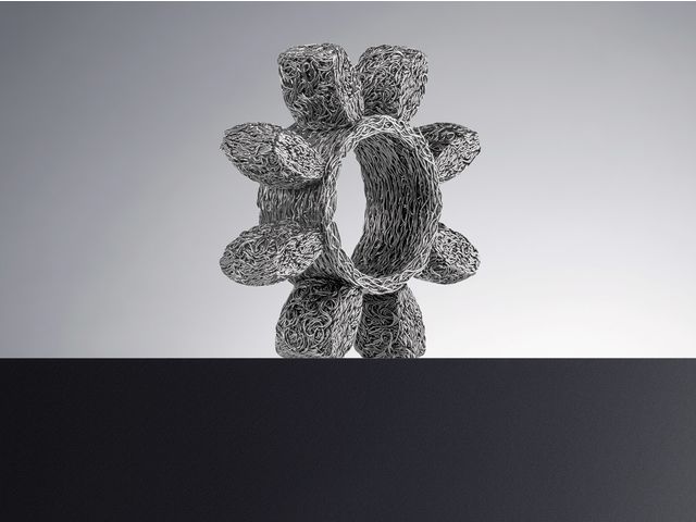 Elastischer Ring: ROTEX INOX Stahl