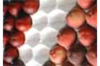 PAPIER Pfirsiche - Nektarinen