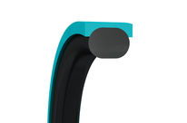 Kolbendichtungen Turcon Double Delta