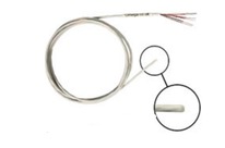 Sterilisierbare, voll PFA-gekaspelte Pt100-Fühler