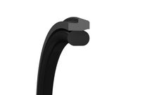 Kolbendichtungen Turcon Stepseal 2K