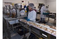 Verpackung | Dorner