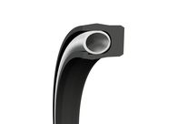 Kolbendichtungen Turcon Variseal W2