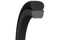  Stangendichtungen : Turcon® Glyd Ring® T