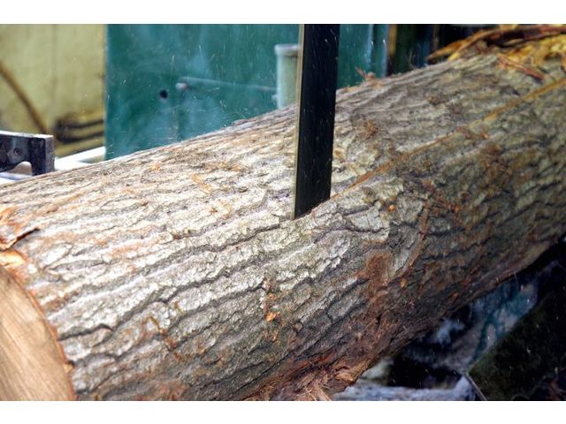 Block- &amp; Trennbandsägen für den Einsatz im breiten Mobilbereich 