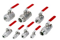 IBV25MKS Kugelventil DN25KF