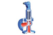 Sicherheitsventil : ARI-SAFE P