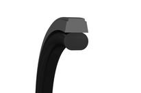 Kolbendichtungen Turcon Glyd Ring T