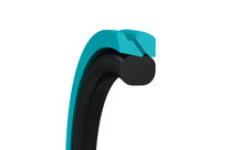 Kolbendichtungen Turcon Stepseal V