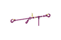 ICE-VSK mit ICE-Gabelkopf-Ratschenspanner und IVH