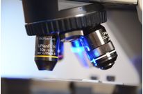 Boruvit - Glaspulver