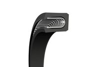 Kolbendichtungen Turcon Variseal M2S