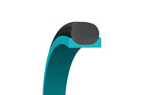  Stangendichtungen : Turcon® Double Delta®