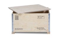 Kisten für gefahrgut : RIBOX 61 DG