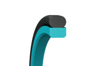 Doppeltwirkende Stangendichtung Turcon® Glyd Ring®